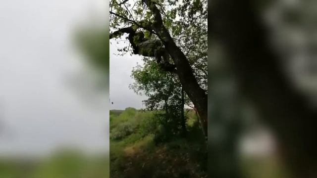 НАЗАД В ПРОШЛОЕ! смотреть онлайн
