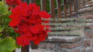 Выше всяких богатств! Елена Ваймер