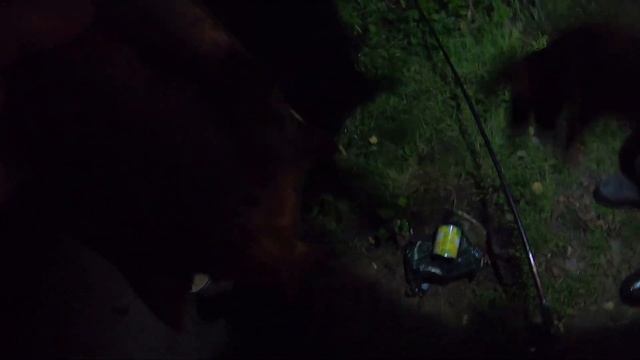 ОСЕННЯЯ РЫБАЛКА С НОЧЁВКОЙ БЕРЕГ РЕКИ НАРОВА/11.09.2020 ЛОВЛЯ ЛЕЩА НА ФИДЕР.РЫБАЧИМ С КОРЕШЕМ. смотреть онлайн