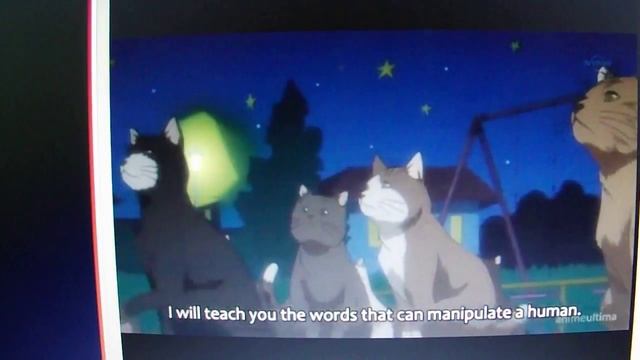Bleach : Yoruichi teaching cats how to manipulate humans смотреть онлайн