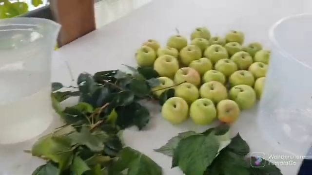 113. Моченые яблоки. Зажигалка для компоста. Подготовка огорода к перекопке..mp4 смотреть онлайн