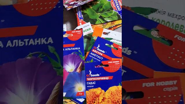 відгук про Дім і Сад ( GradinaMax) смотреть онлайн