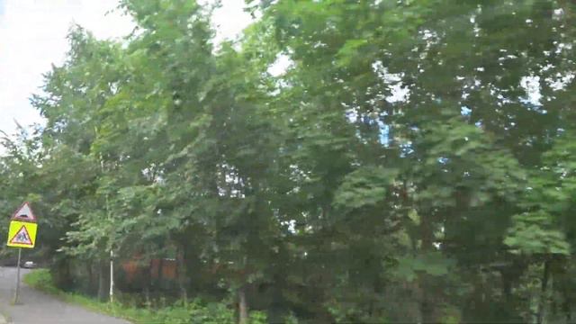 Автобус 339 "ВИР - Павловск, вокзал" (смена перевозчика) смотреть онлайн