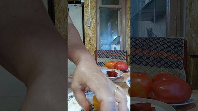 10 коллекционных сортов томатов в разрезе и на вкус смотреть онлайн