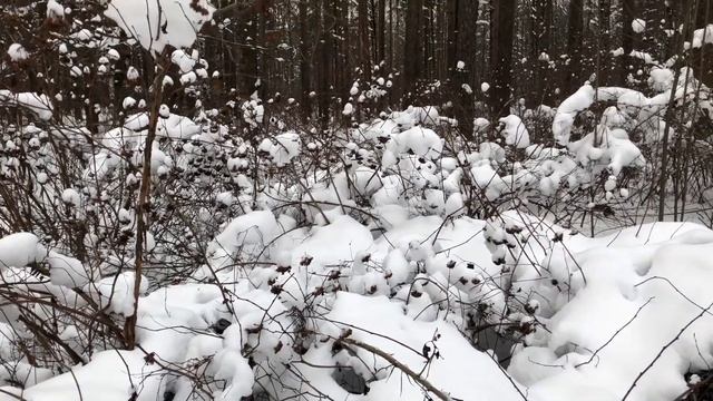 Жена ИЗМЕНЯЛА прямо под окнами квартиры. Истории измен, аудио рассказ смотреть онлайн