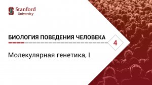 Биология поведения человека_ Лекция #4. Молекулярная генетика, I [Роберт Сапольски, 2010. Стенфорд]
