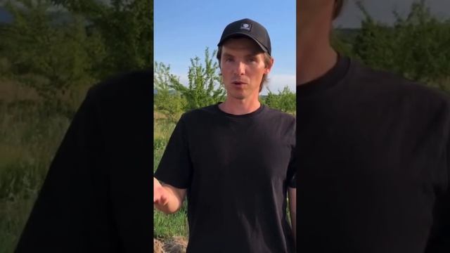 Практика тренировки чувствительности рук для диагностики и лечения методами цигун. #диагностикаруко смотреть онлайн