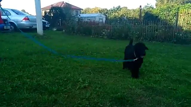 Дара 3,5 мес. смотреть онлайн