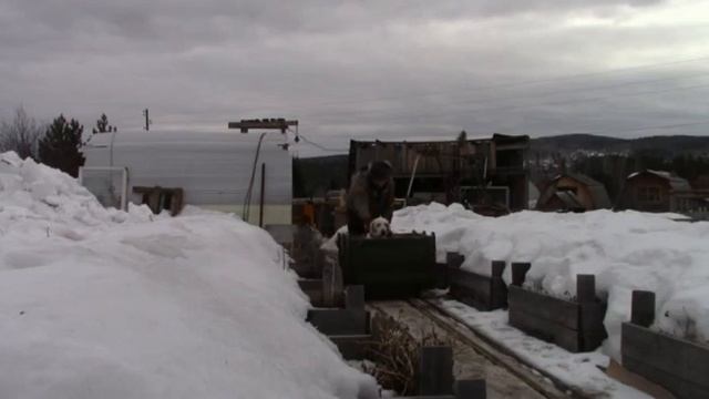 Собака едет в вагоне на дачной жд смотреть онлайн