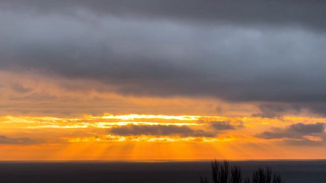 Рассвет.Одесса.24.01.2024 смотреть онлайн