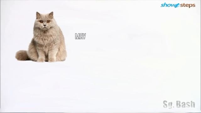 Кокосовый | RYTP смотреть онлайн