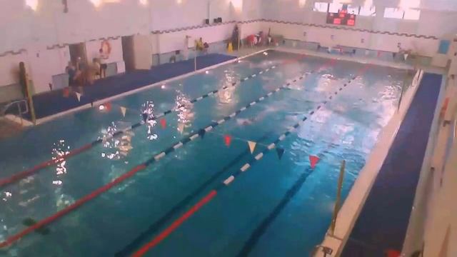 На соревнованиях плыву вольным стилем (кролем) смотреть онлайн