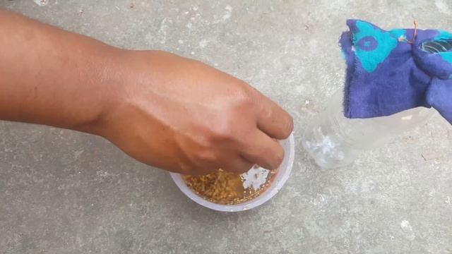 How to Bottle Feeding A Baby Pigeon смотреть онлайн