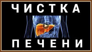 ЧИСТКА ПЕЧЕНИ НАРОДНЫМИ СРЕДСТВАМИ
