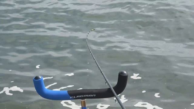 РЫБАЛКА на ФИДЕР с ПОВОДКОМ 150 СМ!!! ПОКЛЁВКИ в ТОЛЩЕ ВОДЫ на ПАДЕНИИ смотреть онлайн