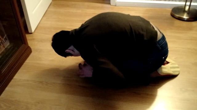 Левретка Шарли. Игры с мамой смотреть онлайн