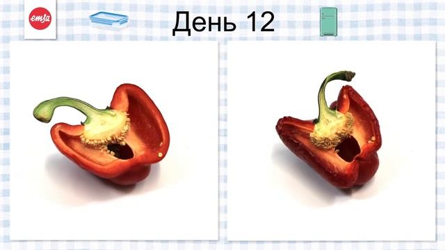 Герметичный контейнер для продуктов CLIP & CLOSE от EMSA тестирование на перце смотреть онлайн