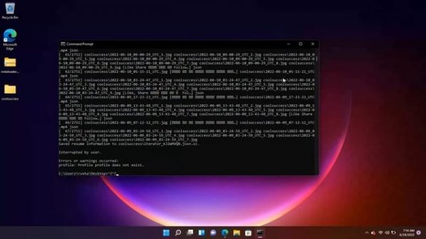 instaloader tool setup in windows 11