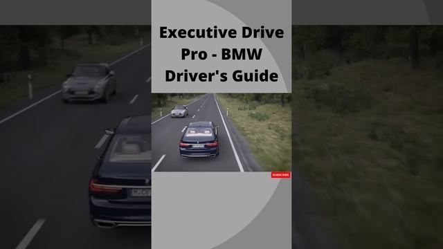 Executive Drive Pro   BMW Driver's Guide
