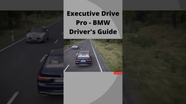 Executive Drive Pro BMW Driver's Guide