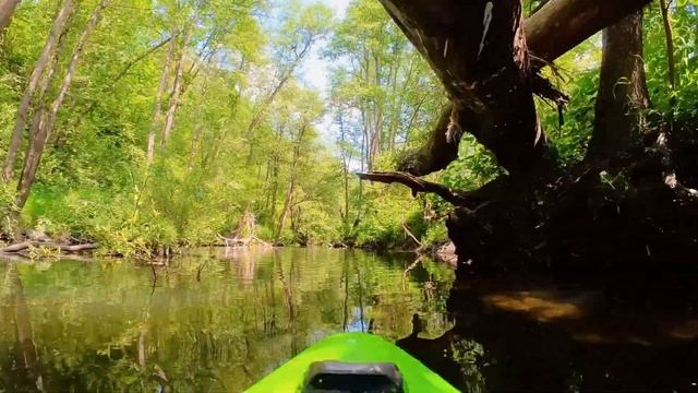 SUP сплав по реке Вашана - сапборд в Тульской области смотреть онлайн