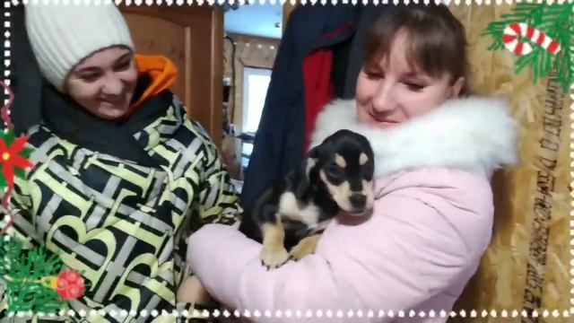 Очень новогодняя история! смотреть онлайн