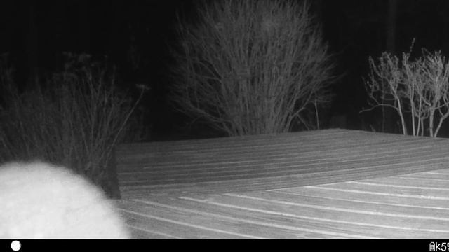4 21 23 video of trail monitor clips смотреть онлайн