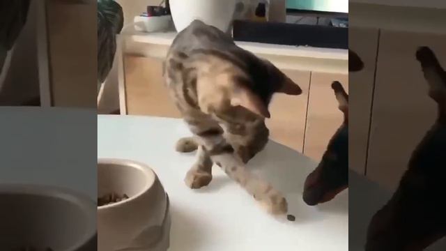 Угощайся смотреть онлайн