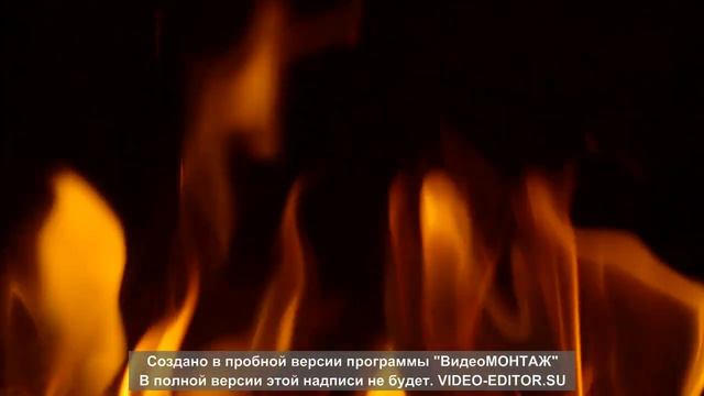 Почему так долго нет видосов? смотреть онлайн