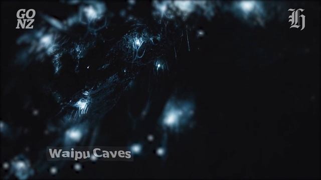 What are glow worms? and how do they work? | New Zealand Travel смотреть онлайн