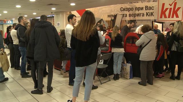 Международна фелиноложка изложба - София смотреть онлайн