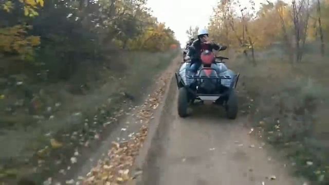 Прогулка 18.10.2017 часовая "Песчаный карьер" смотреть онлайн