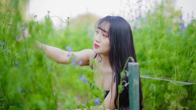 Can't Help Falling In Love Saxophone Mp3 Download 🎷 Guitar music saxophone 269 смотреть онлайн