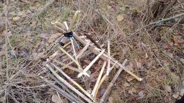 Ловушки на голубей)Голуби с картошкой?️ смотреть онлайн