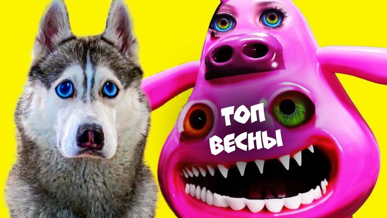 ЛУЧШИЕ СЕРИИ ВЕСНЫ ПОДРЯД!! (Хаски Бандит) говорящая собака смотреть онлайн