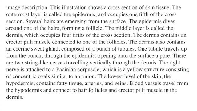 VERY PATIENT EDUCATION DERMATOLOGY: Explain the physiology of the skin смотреть онлайн