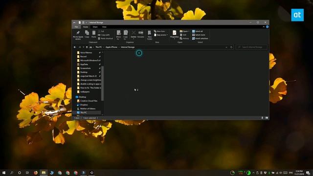 How to fix ‘This folder is empty’ when connecting an iPhone on Windows 10 смотреть онлайн