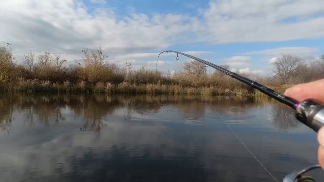 ШОК. ЭТА СНАСТЬ ПЕРЕЛОВИЛА ВСЕХ, когда ничего не работает. Наловил кучу рыбы в конце октября. смотреть онлайн