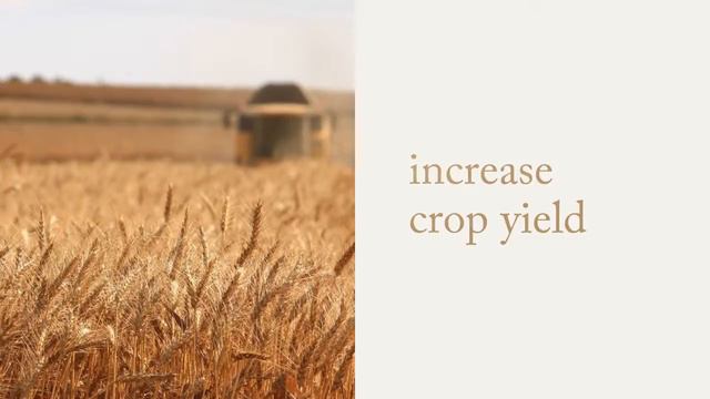 Drone Services Canada Inc ~ Drone Solutions For Precision Agriculture смотреть онлайн