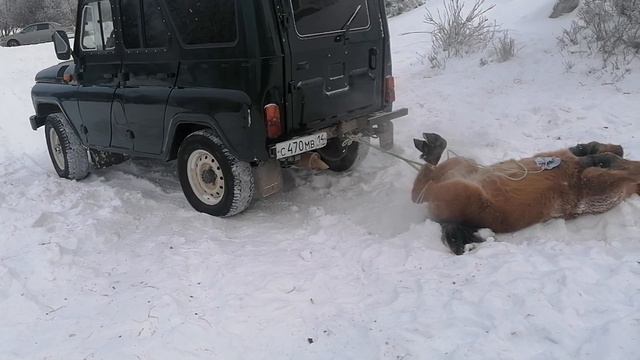 убаьа😋 смотреть онлайн