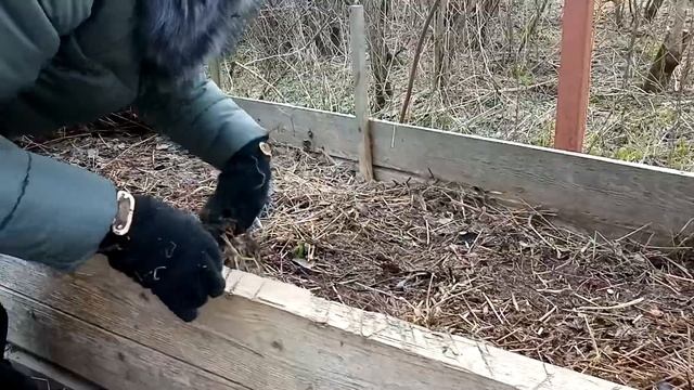 Уход за клубникой и земляникой на участке смотреть онлайн