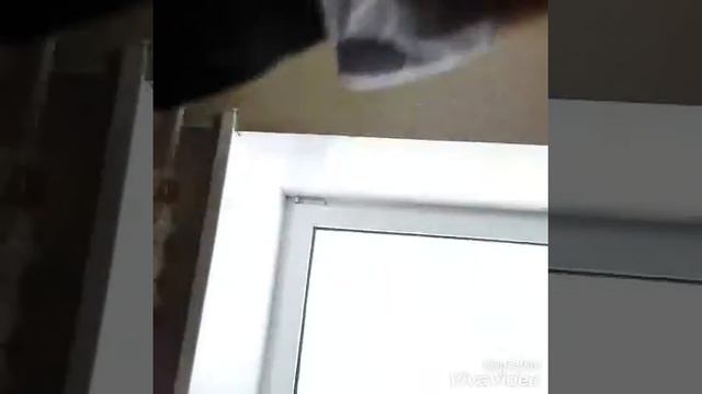 /РАЗбИЛИ ОКНО В ШКОЛЕ бутылкой😕/ / Бутылка с водой челлендж в ШКОЛЕ/🏢☆Nastya Cute☆ смотреть онлайн