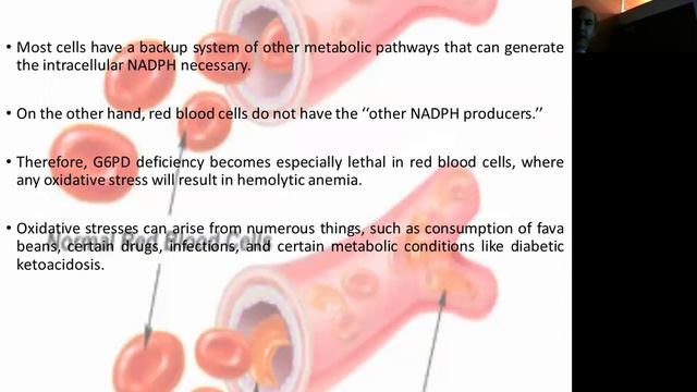 Jordan Neurosurgery Grand Rounds March 20, 2019: "Neuroenteric Cysts" смотреть онлайн