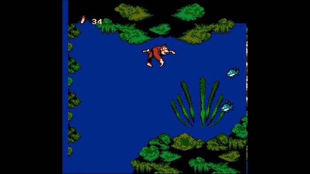 Donkey Kong Country 4 NES Review
