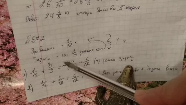 570, 571, 572, 573, 574 Математика 6 класс. Задачи на тему Нахождение дроби от числа смотреть онлайн