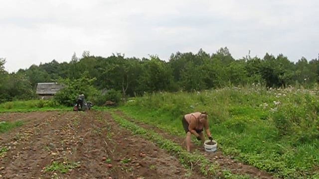 Каторга на уборке картошки 2023 года смотреть онлайн