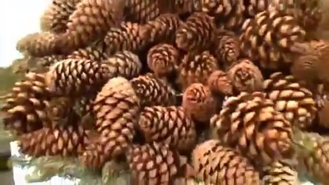 ПРОДОЛЖАЕМ ГУЛЯТЬ НА КРАСНОЙ ПЛОЩАДИ смотреть онлайн