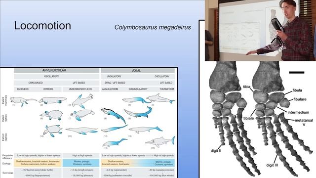 When Prehistoric Marine Reptiles Ruled the Waves | BoneHeads смотреть онлайн