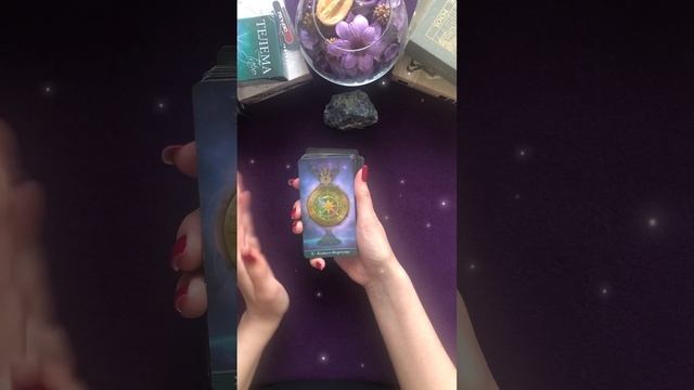 ✨МИР🔮ТАРО✨