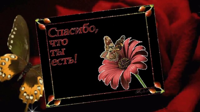 С ДНЕМ РОЖДЕНИЯ, ПОДРУЖКА! смотреть онлайн